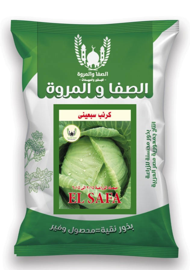 Seventi Early cabbage variety