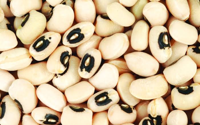 Cowpea seeds